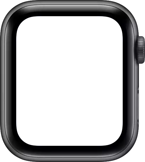 Apple Watch frame